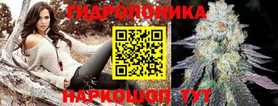 mdpv Бердск