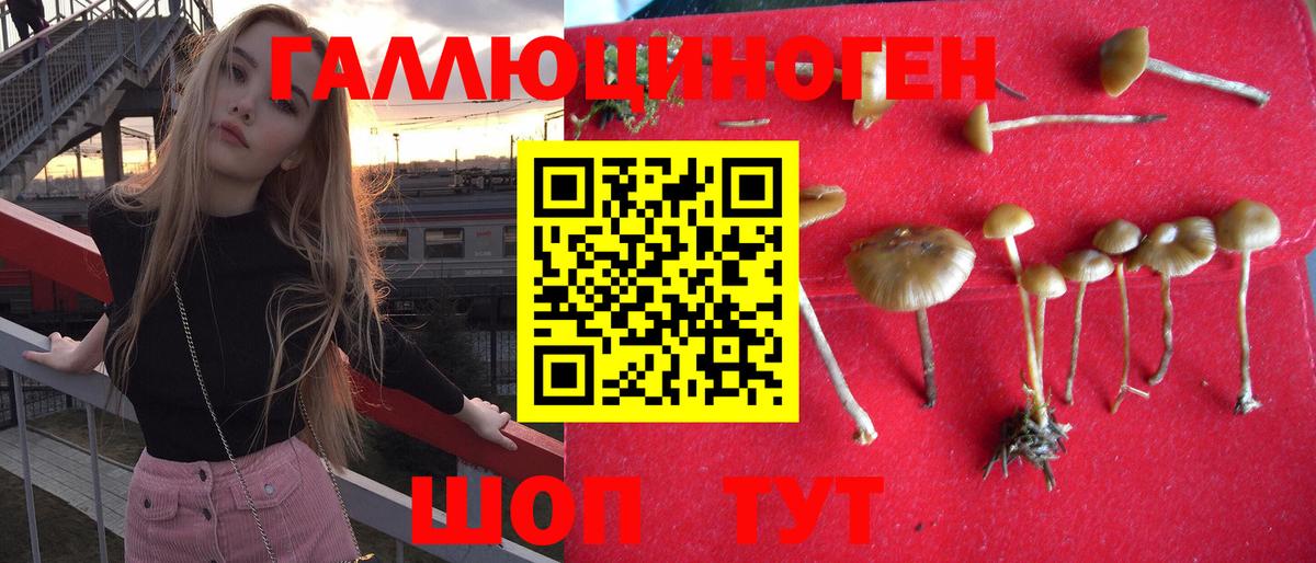 Галлюциногенные грибы Cubensis Черногорск