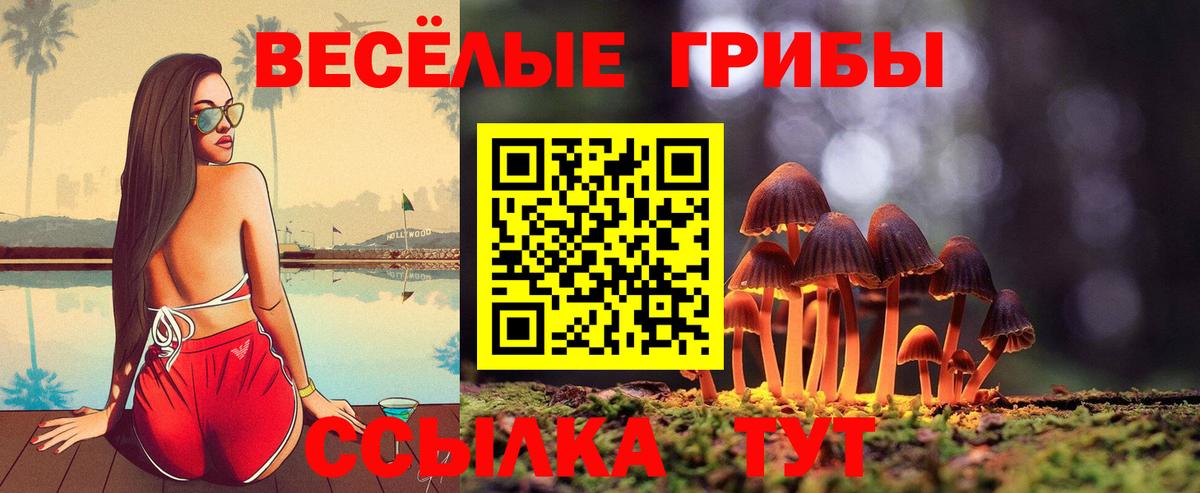Псилоцибиновые грибы мицелий  Галлюциногенные грибы прущие грибы  Вход с VPN  Черногорск 